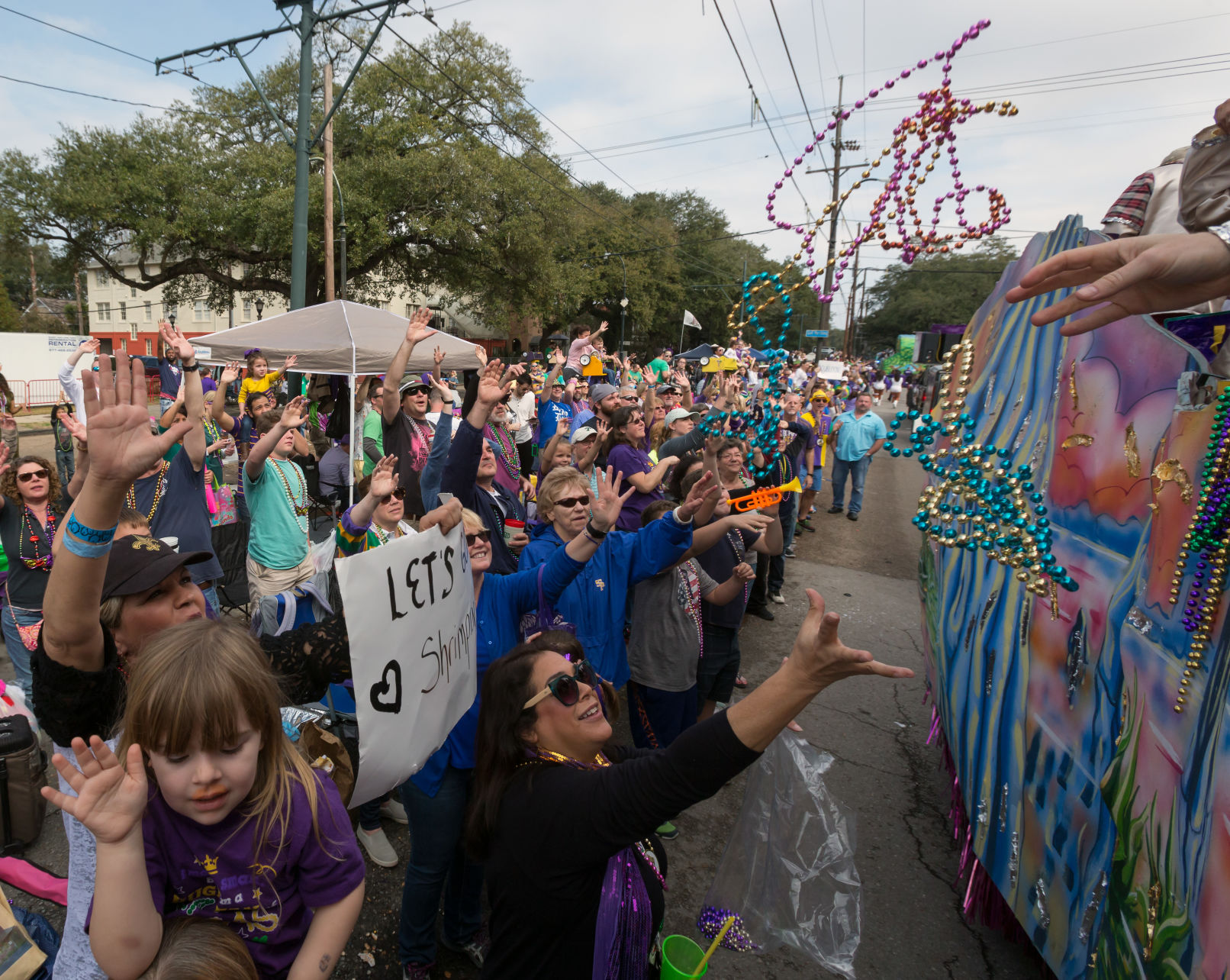 NO.kreweofcarrollton.020518638